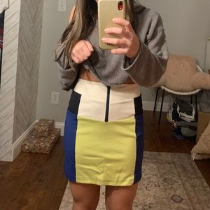 Color Block Mini Skirt